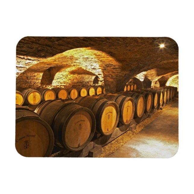 Oak barrles in the cellar at Domaine Comte Magnet (Horizontal)