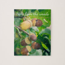 Oak branches with acorns