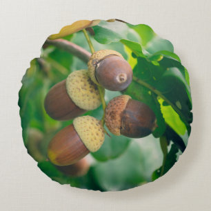 Oak branches with acorns round pillow
