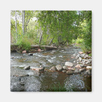 Oak Creek and Mallard Ducks Nature Photography