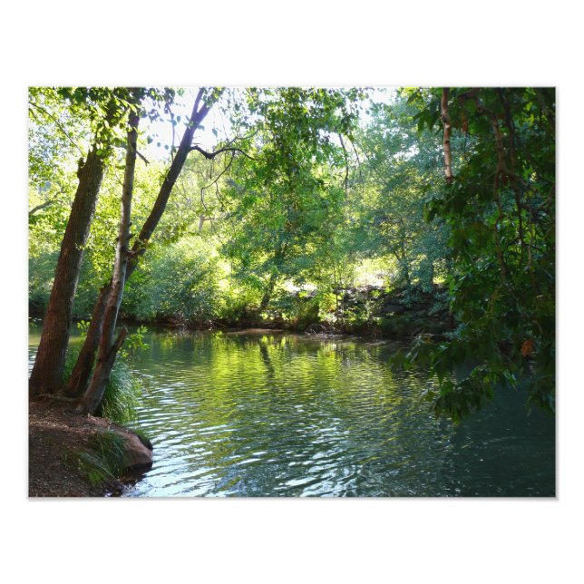 Oak Creek I à Sedona Arizona Nature Photographie (Devant)