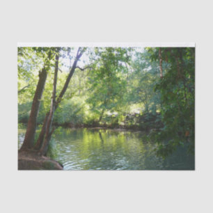 Oak Creek I in Sedona Arizona Nature Photography Tissue Paper