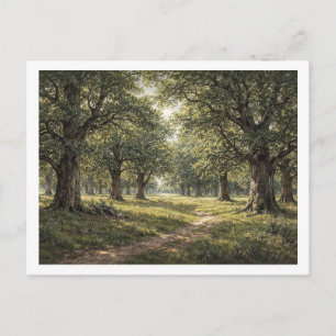 Oak forest. Postcard