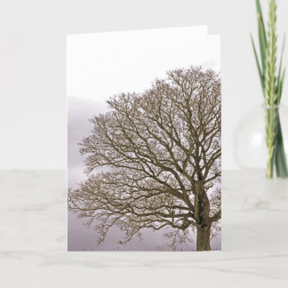 Oak in Winter 1 Holiday Card