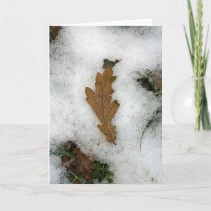 Oak leaf lying in the snow holiday card
