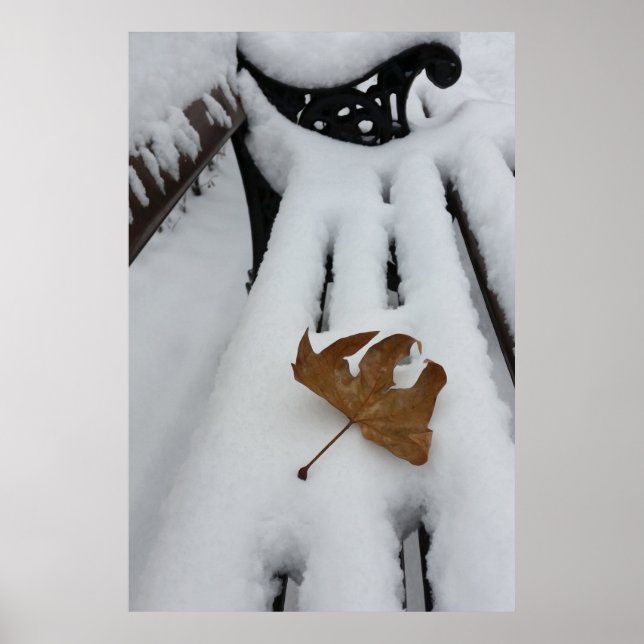 oak leaf on new snow poster (Front)