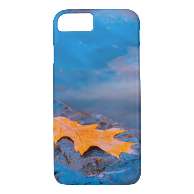 Oak leaf on rock in Rosseau River Case-Mate iPhone Case (Back)