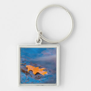 Oak leaf on rock in Rosseau River Keychain