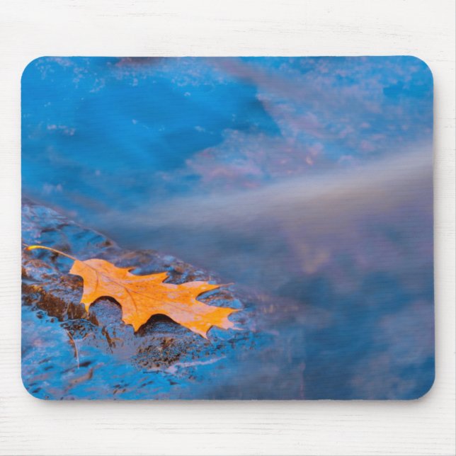 Oak leaf on rock in Rosseau River Mouse Pad (Front)