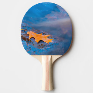 Oak leaf on rock in Rosseau River Ping Pong Paddle