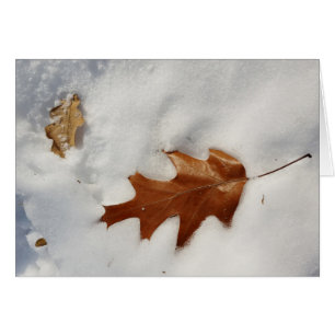 oak leaf on the snow