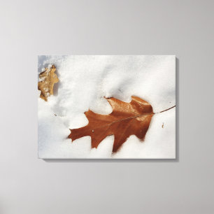 oak leaf on the snow canvas print