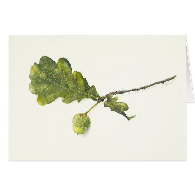 Oak leaf with acorn (Front Horizontal)