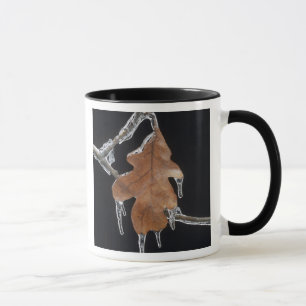Oak Leaf with Ice Sickles After Ice Storm ; Mug
