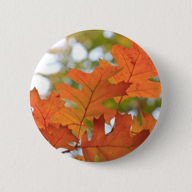 Oak Leaves 2 Inch Round Button (Front)