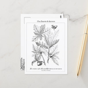 Oak Leaves and Acorns Customizable Quote  Postcard