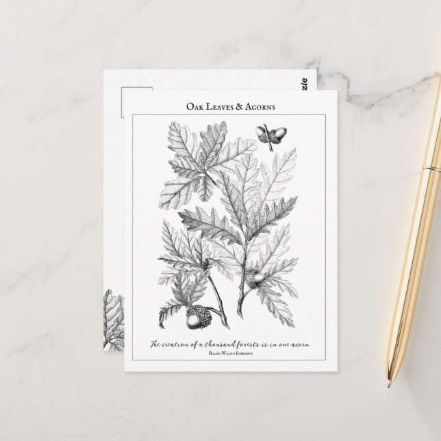 Oak Leaves and Acorns Customizable Quote  Postcard (Front/Back In Situ)