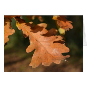 Oak Leaves Card