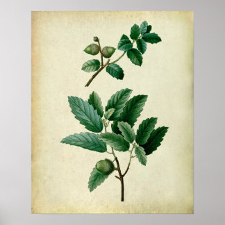 Oak Leaves Wall Art no.1 Farmhouse Wall Decor