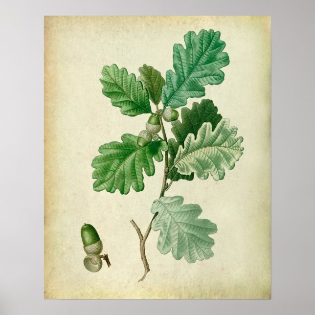 Oak Leaves Wall Art no.2 Farmhouse Decor (Front)