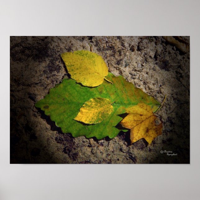 Oak Maple Leaves Print (Front)