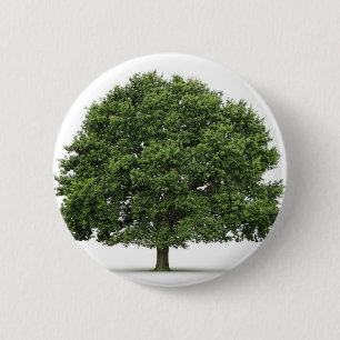 Oak Tree 2 Inch Round Button