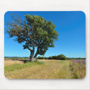 Oak tree and agriculture in France Mouse Pad