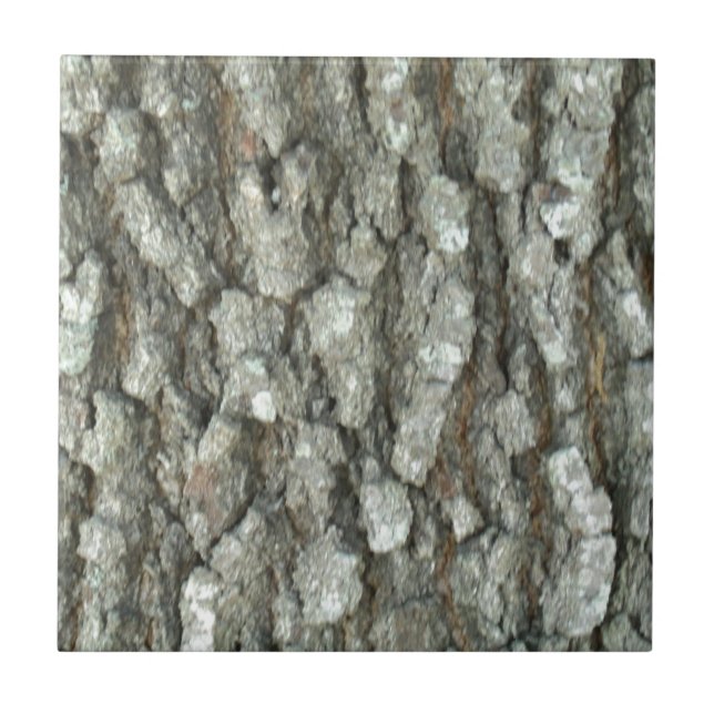 Oak Tree Bark Real Wood Camo Nature Camouflage Tile (Front)