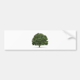 Oak Tree Bumper Sticker
