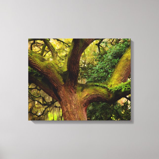 Oak tree canvas print (Front)