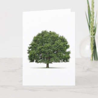 Oak Tree Card
