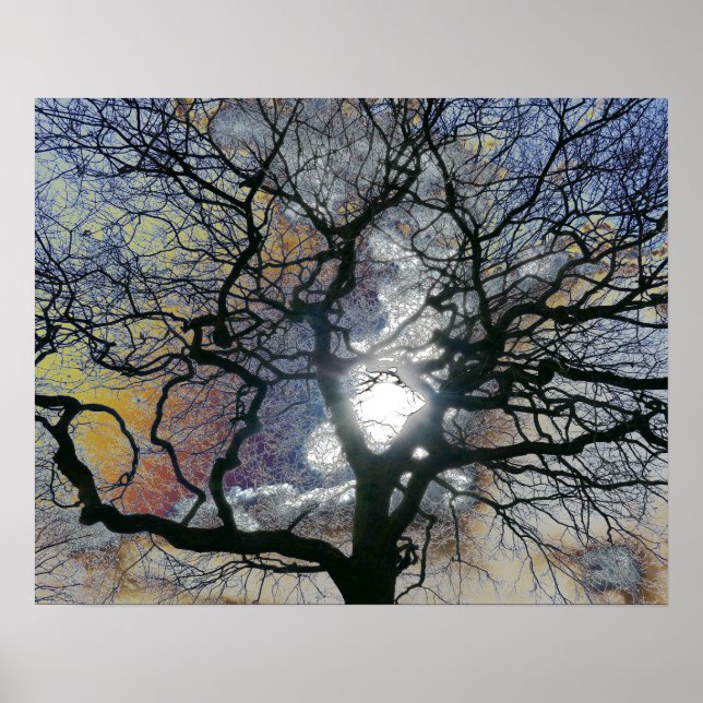Oak tree in early Spring, colored sky edit Poster (Front)