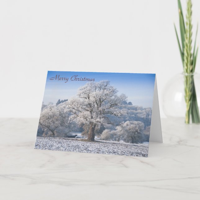 Oak Tree in Frost Christmas Card (Front)