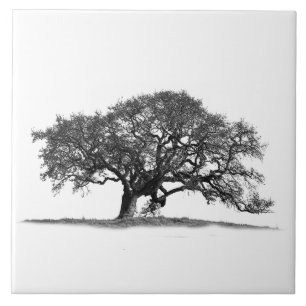 OAK TREE IN SILHOUETTE  TILE