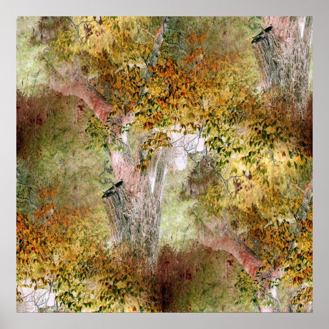 Oak tree in the Fall... Poster (Front)