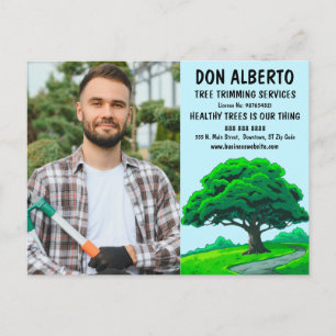 Oak Tree Logo   Tree Trimming Service Marketing Postcard