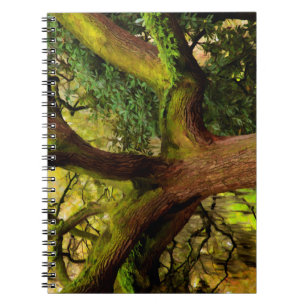 Oak tree notebook