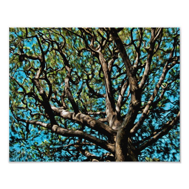 Oak Tree Photo Print (Front)