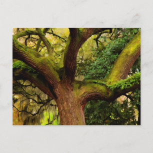 Oak tree postcard