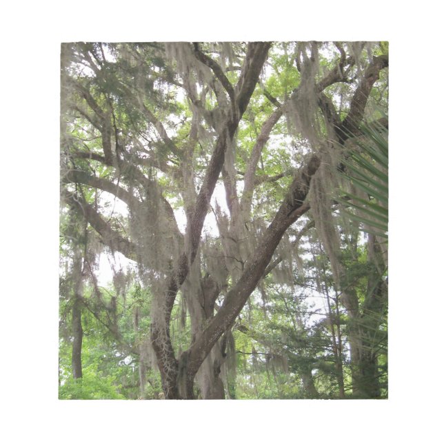 oak tree with Spanish moss waving in the branches Notepad (Front)
