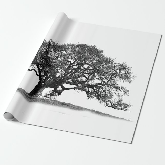OAK TREE WRAPPING PAPER (Unrolled)