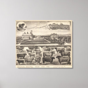 Oakland Stock Farm, Kansas Canvas Print
