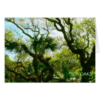 Oaks de mer