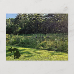 Oakwoods Metropark Turkey Path with Logo Postcard