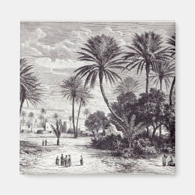 Oasis of Gafsa: Tunis Magnet (Front)