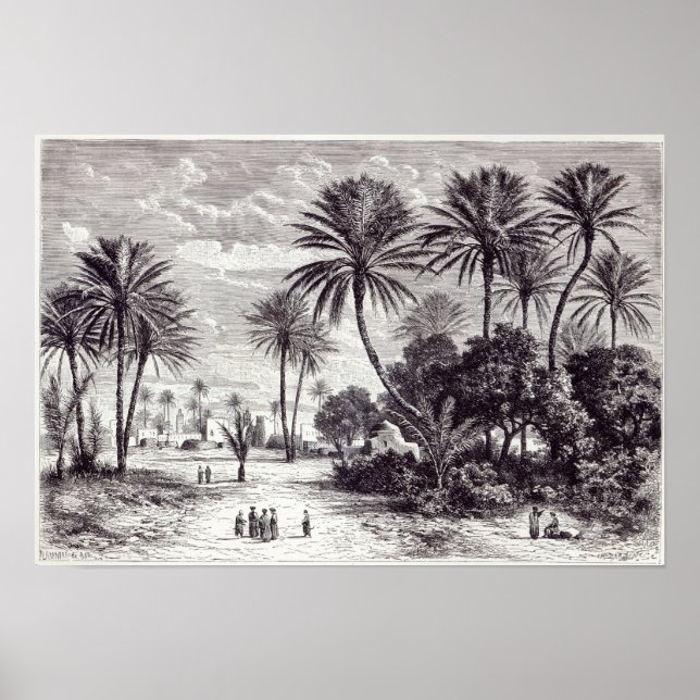 Oasis of Gafsa: Tunis Poster (Front)