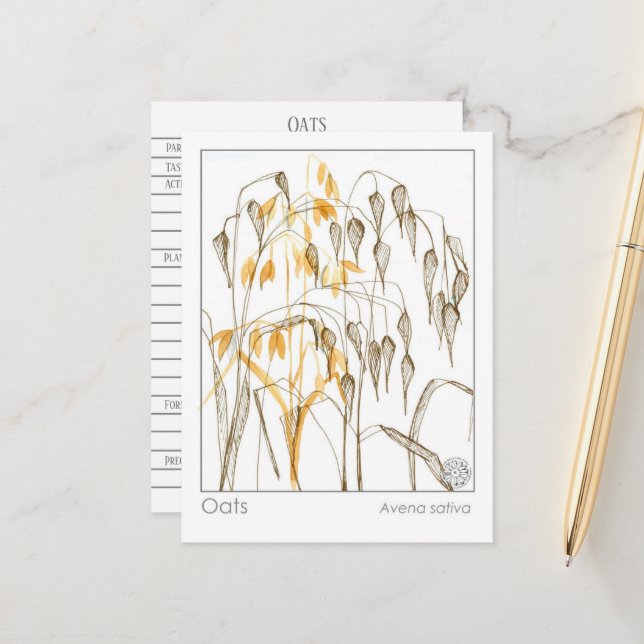 Oats Grain Plant Materia Medica Herbal Study Card (Front/Back In Situ)