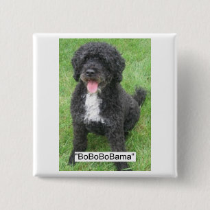 Obama Pet Portuguese Water dog 2 Inch Square Button