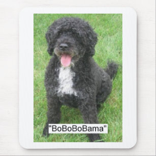 Obama Pet/Portuguese Water Dog Mouse Pad
