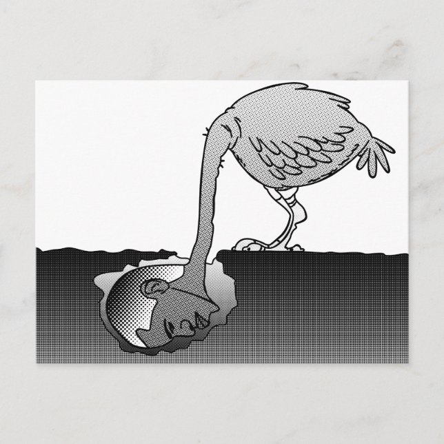 Obama Postcard (Front)